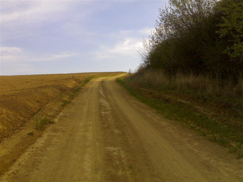 200704091737 .jpg